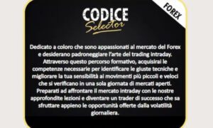Codice Selector MASTER – Max Mereghetti