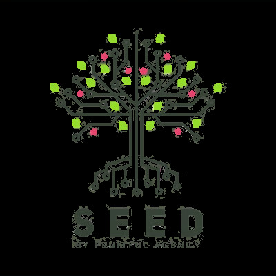 Seed – Ayoub Habcy